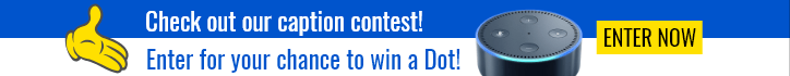 caption contest wdw bingo