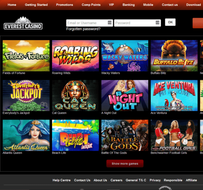 Everest-Casino-homepage