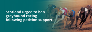Scotland urged to ban greyhound racing following petition support