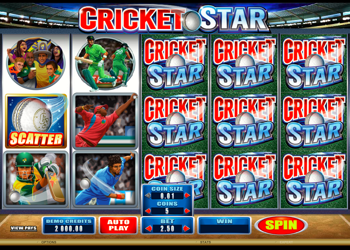 More Details on Cricket Star Slot Game