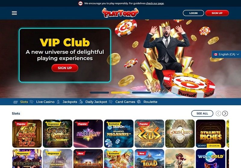 Playtoro Casino Review UK