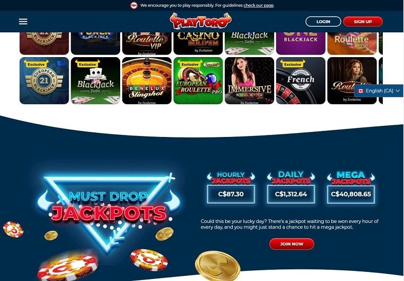 Playtoro Casino Review UK